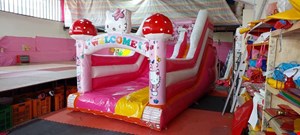 سرسره بادی طرح کیتی
