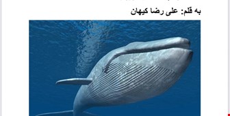 FATF و نهنگ های کویری به قلم علی رضا کیهان