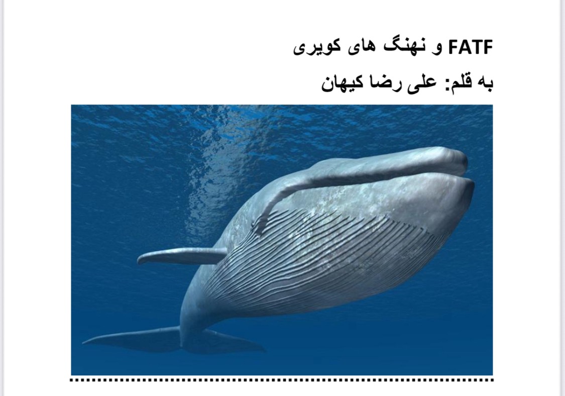 FATF و نهنگ های کویری به قلم علی رضا کیهان